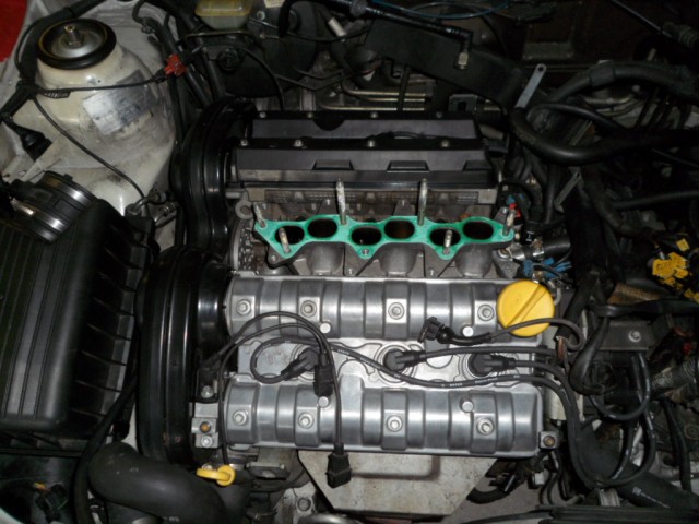 Fuel Rail and Injectors Out.JPG