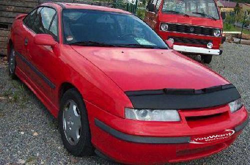 Calibra Bra.jpg